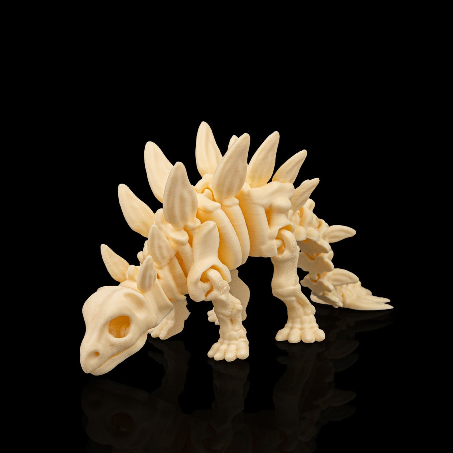 Kit Esqueletos de dinossauro articulados sensoriais