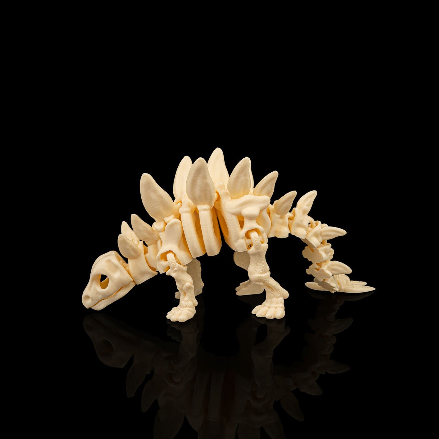 Kit Esqueletos de dinossauro articulados sensoriais