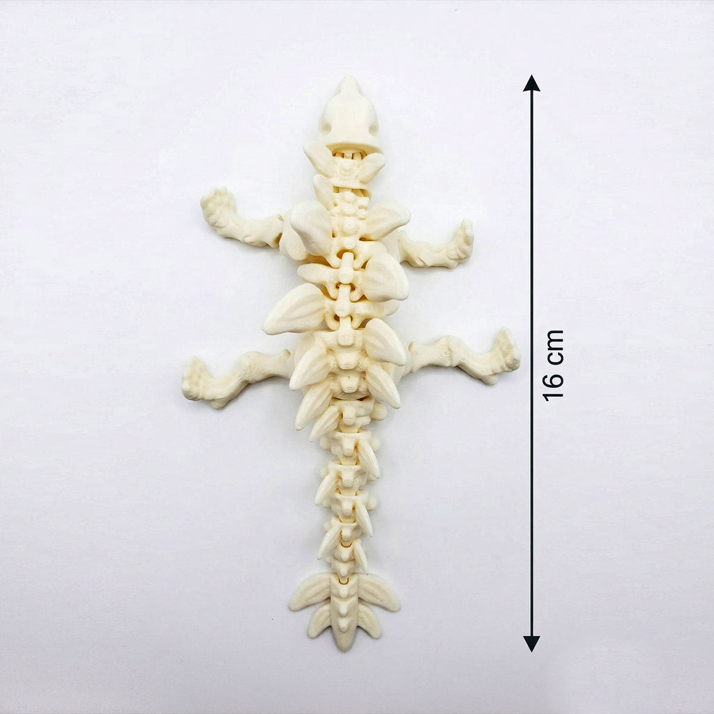 Kit Esqueletos de dinossauro articulados sensoriais