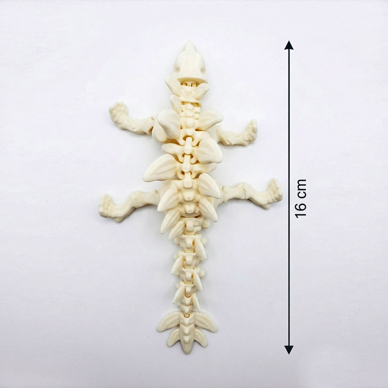 Kit Esqueletos de dinossauro articulados sensoriais
