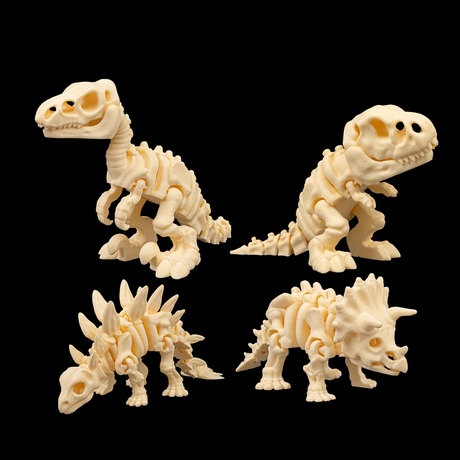 Kit Esqueletos de dinossauro articulados sensoriais