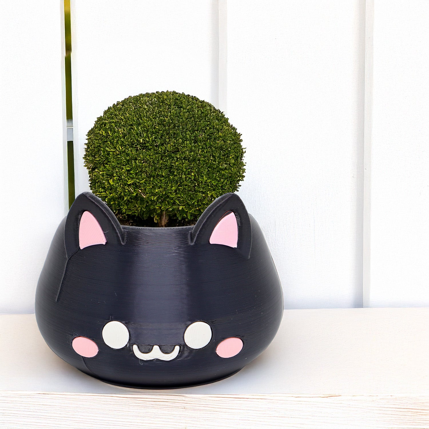 Mini vaso (gato) para suculenta