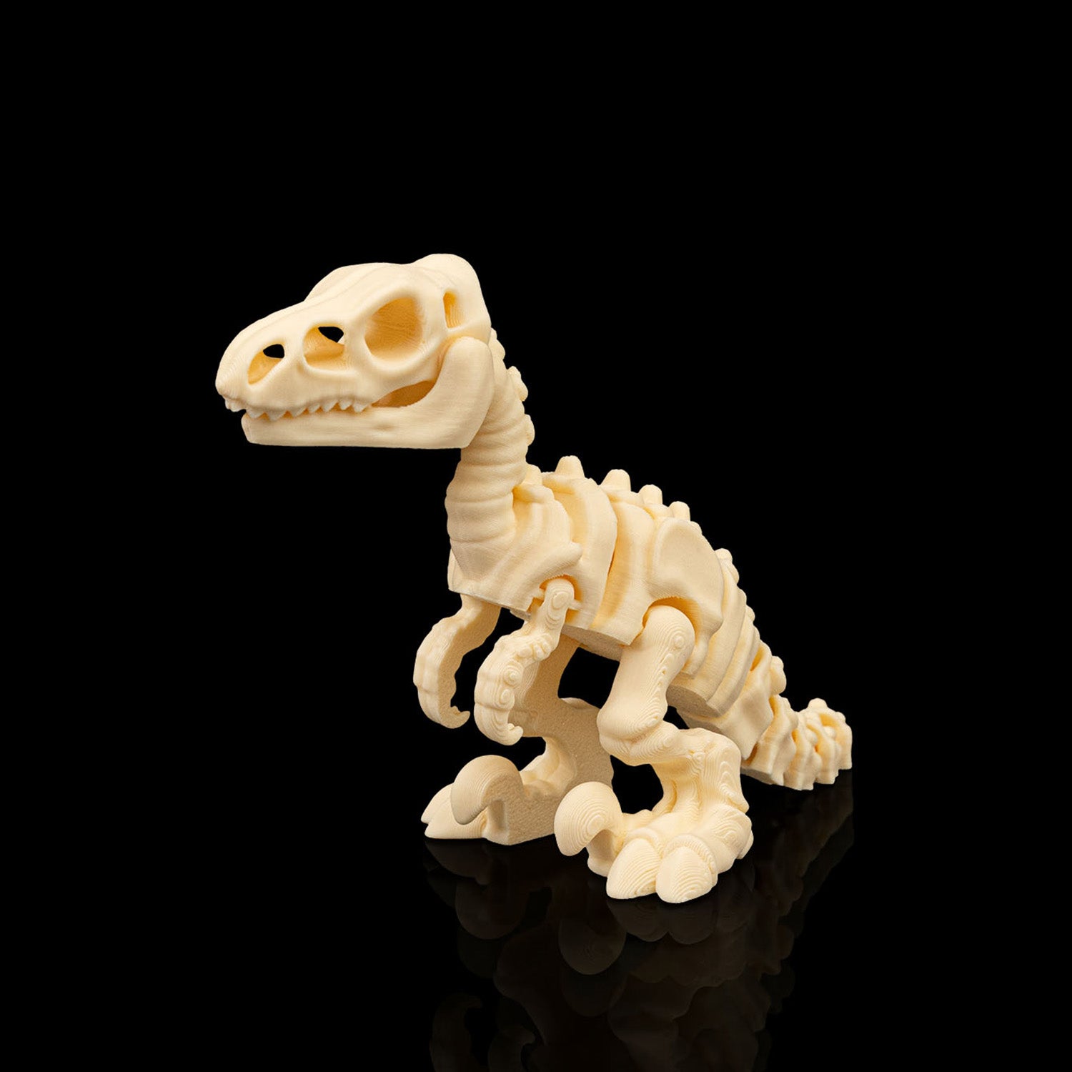Esqueleto de dinossauro articulados sensoriais - Velociraptor