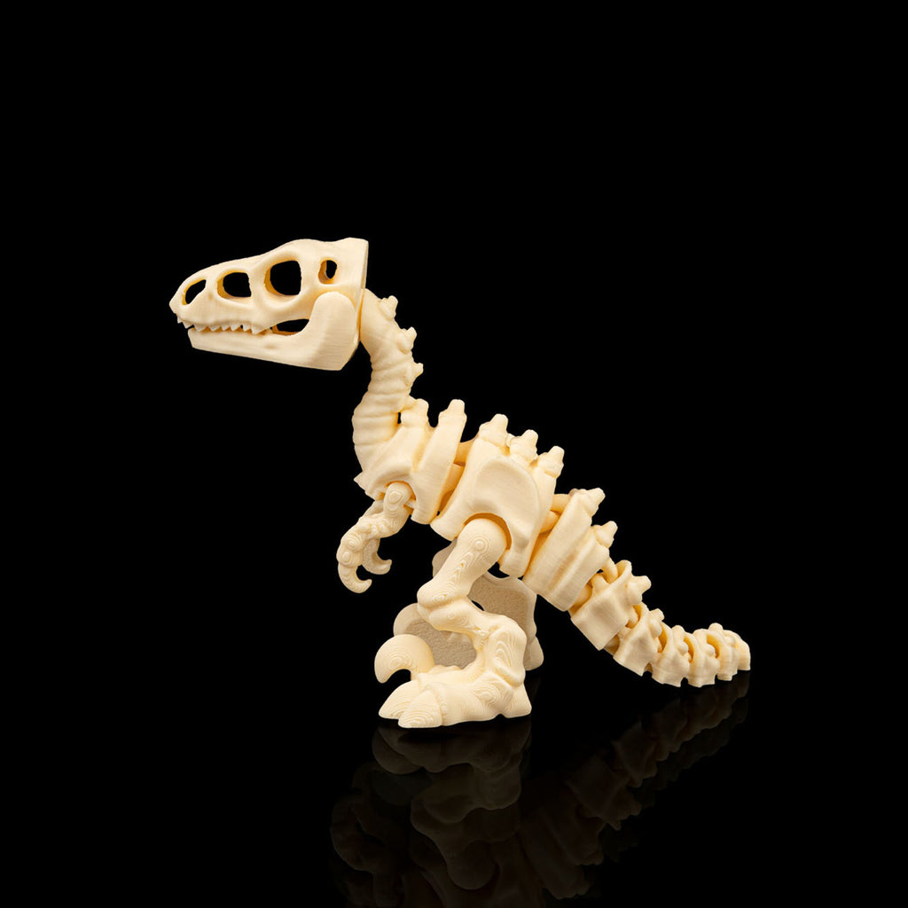 Kit Esqueletos de dinossauro articulados sensoriais