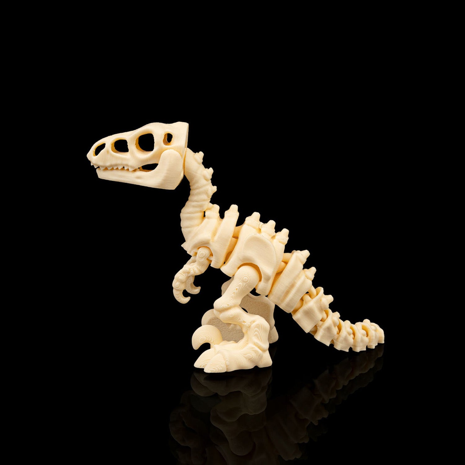 Esqueleto de dinossauro articulados sensoriais - Velociraptor